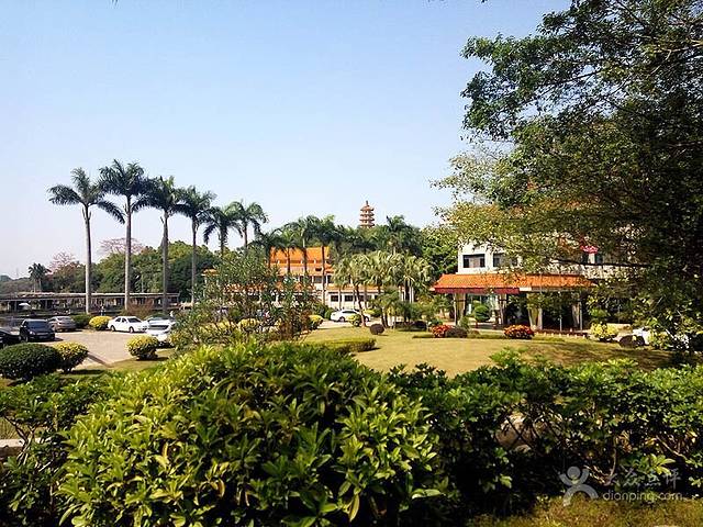 西丽湖垂钓中心