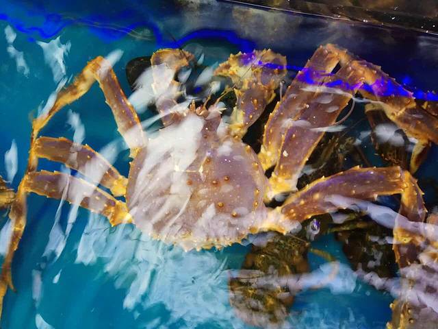 1点点(长宁88店)