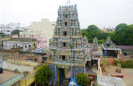 Sri Parthasarathy Temple旅游景点图片