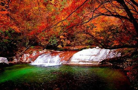 光雾山旅游景区旅游景点攻略图