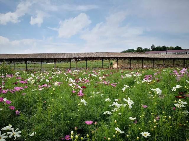 湖南松雅湖国家湿地公园