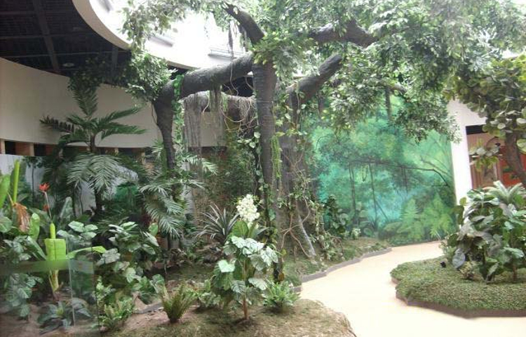 西安世博园自然馆