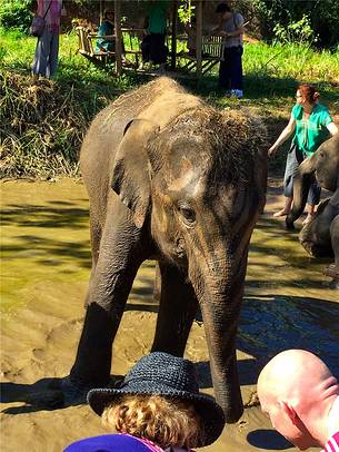 Ran-Tong大象保护中心