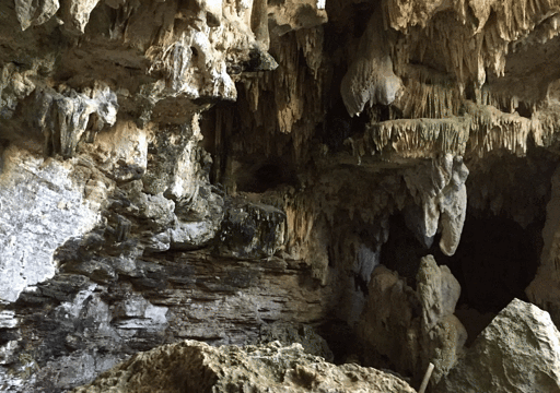Cave Oleg Bat House旅游景点图片
