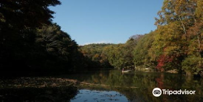 震生湖 (日本)旅游景点图片