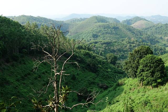 广东大王山国家森林公园