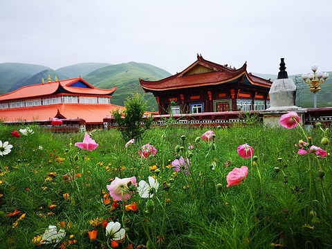 咋噶尼姑庵圆满法洲旅游景点图片