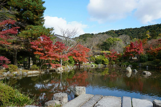八坂神社旅游景点图片