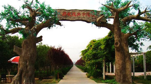 苏北花卉示范园