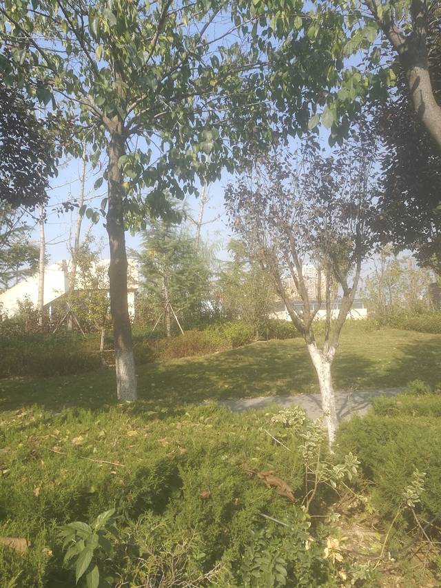 亳州市体育公园