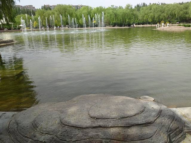 阿尔丁植物园-西园