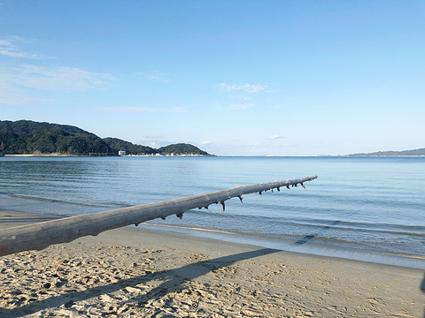 Futamigaura Beach旅游景点图片