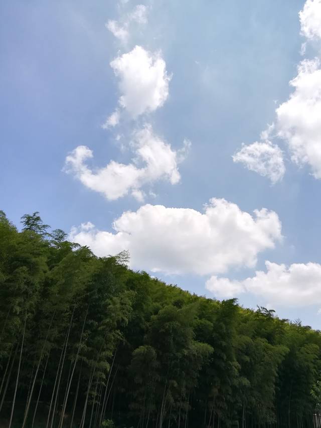 宜兴太华朝阳寺