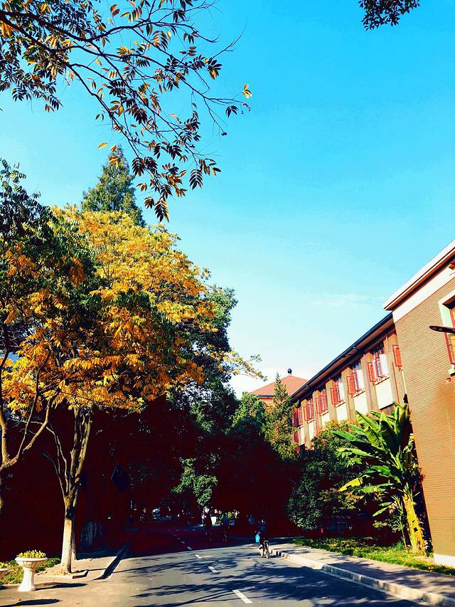 浙江大学(华家池校区)-植物园