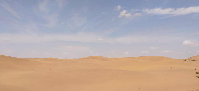 中国阿拉善沙漠世界地质博物馆旅游景点图片