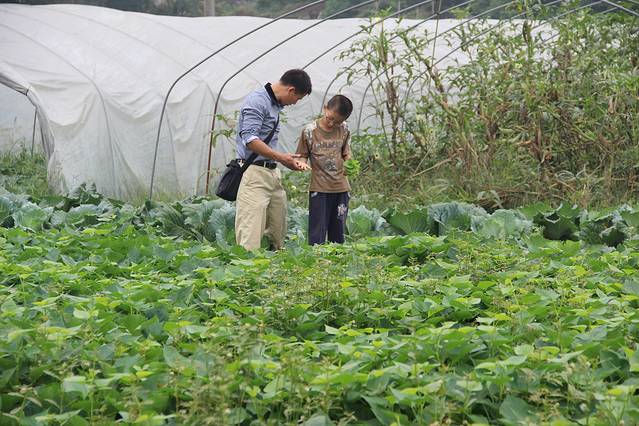 新津田园牧歌生态农业开发有限公司