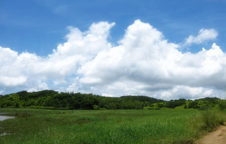 南仁山生态保护区