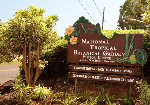 国家热带植物园旅游景点图片