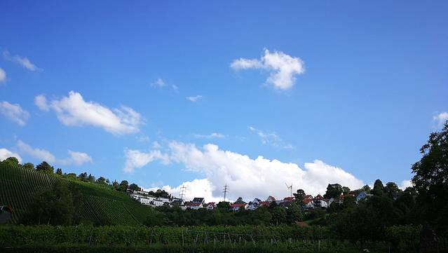 Collegium Wirtemberg