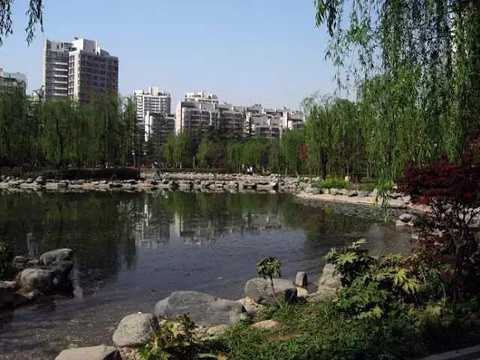 木塔寺生态遗址公园的图片