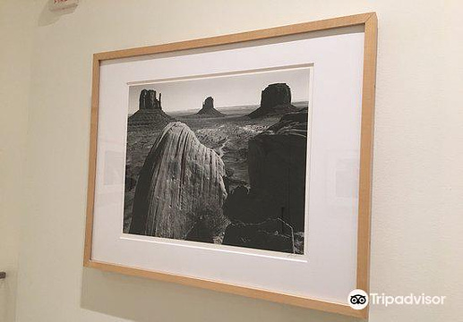 Wilderness Society Ansel Adams Collection旅游景点图片