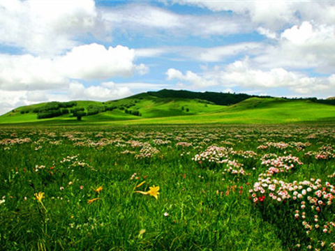 红松洼国家级自然保护区