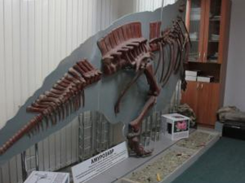 Paleontologic Museum旅游景点图片
