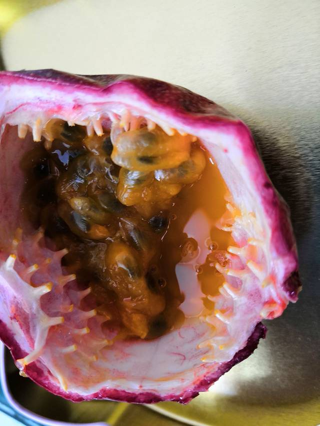 Kuranda Rainforest Coffee