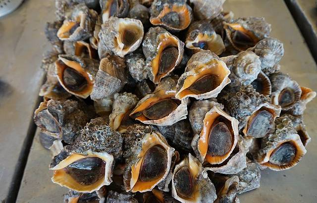 李村大集(李村广场)