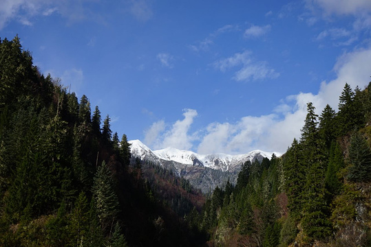 三奥雪山大本营旅游景点图片