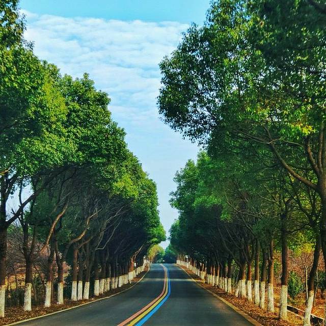 溧阳1号公路(汨罗灞观景台)