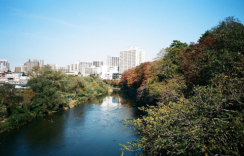 广瀬川的图片