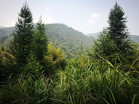 尧人山国家森林公园旅游景点图片