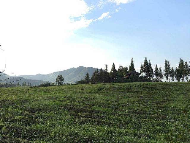 凌家滩考古遗址公园