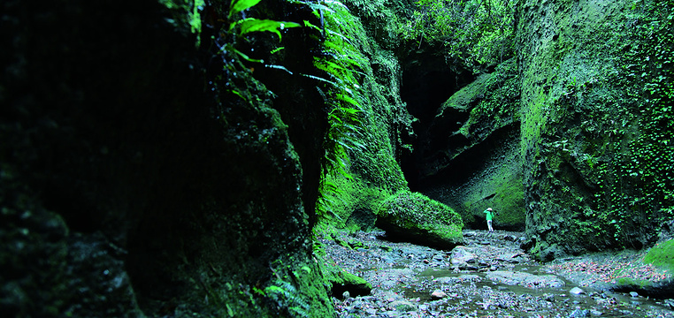 伊尾木洞旅游景点图片
