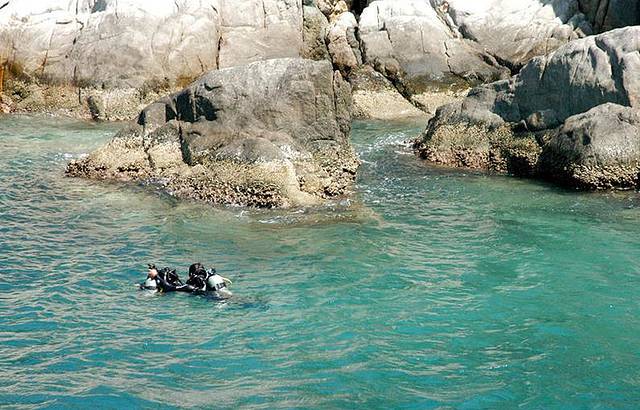 彩虹潜水-芽庄潜水中心