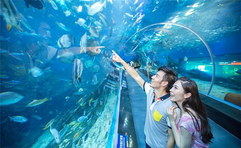 石家庄海洋公园
