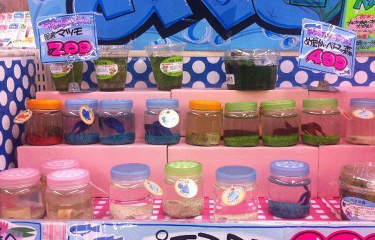 ダイエー・上矶店