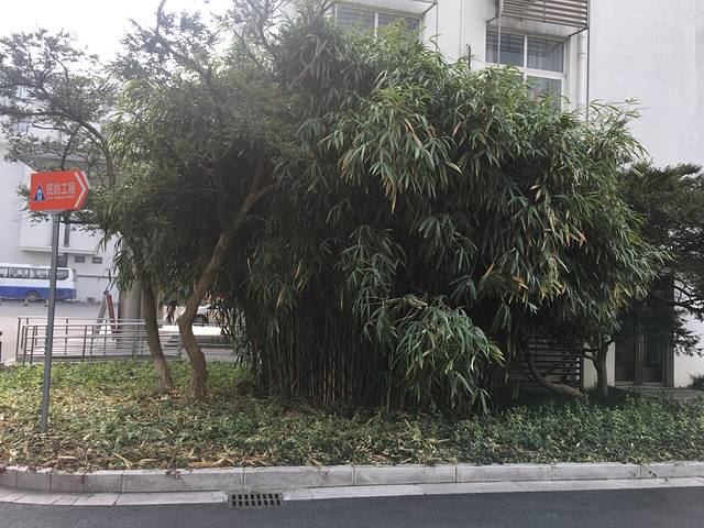 上海对外经贸大学(古北校区)-图书馆