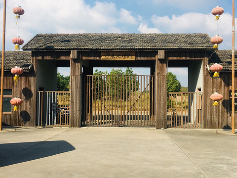 八卦洲沙漠风情园旅游景点图片