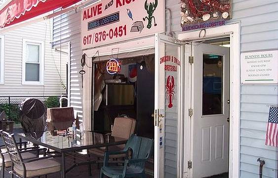 Alive and Kicking Lobsters