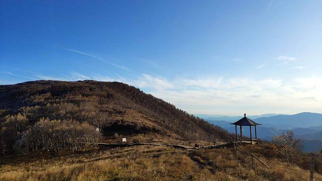 茅荆坝原始森林谷