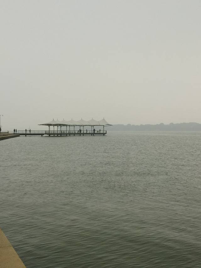 香港龙舟嘉年华