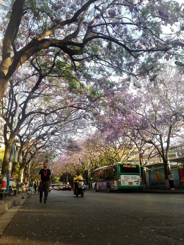 翁源仙湖度假村