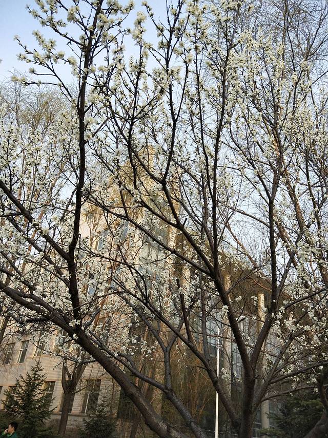 牡丹江医学院药学院