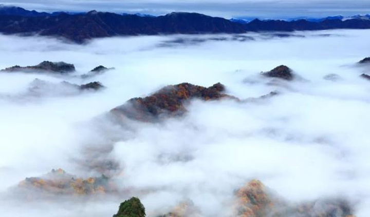 "光雾山各大景区的红叶璀璨，虽然提早了一周时间，但是今年由于连绵秋雨，加上没有风吹，树叶舒展的挂..._光雾山旅游景区"的评论图片