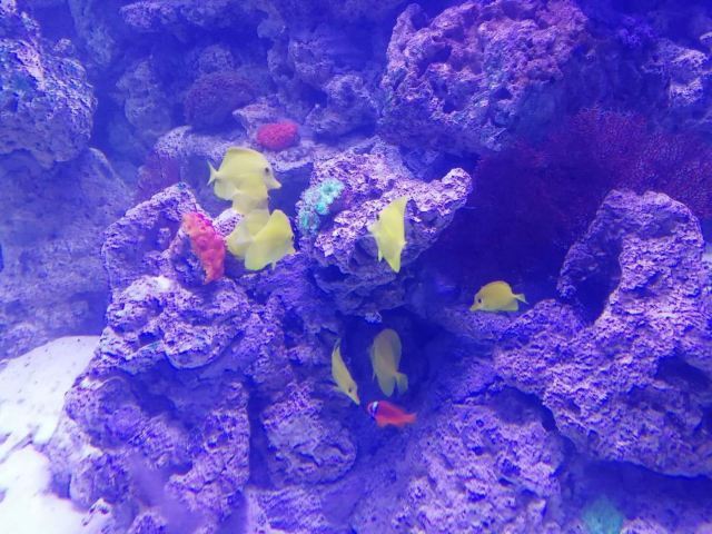 江西瑞金九丰极地海洋世界