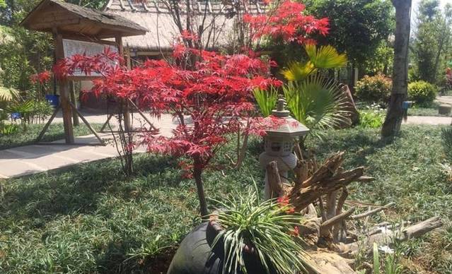 东坡山庄·生态火锅·柴火鸡·团建聚会(兴隆店)