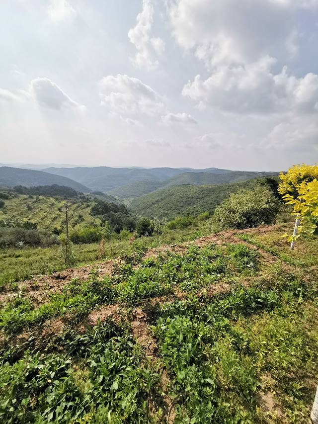 棋子山省级地质公园
