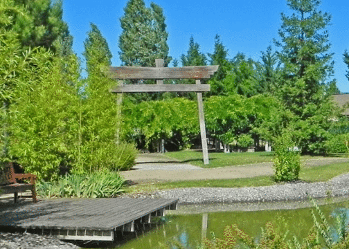 Jardin Botanico de Arroyo de la Encomienda旅游景点图片